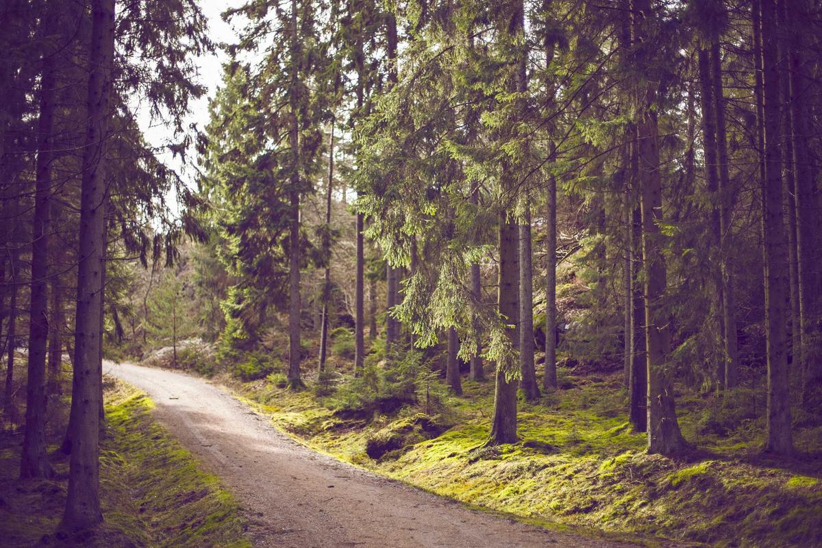 Formatrice expliquant une grille d'évaluation à de futurs juges de débat